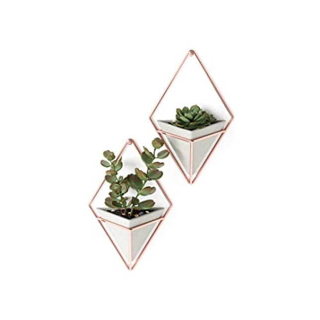 Umbra Trigg Hanging Planter Vase & Geometric Wall Decor Container - Great For Succulent Plants, Air Plant, Mini Cactus, Faux Plants and More, Concrete Resin/Copper (Set of 2)