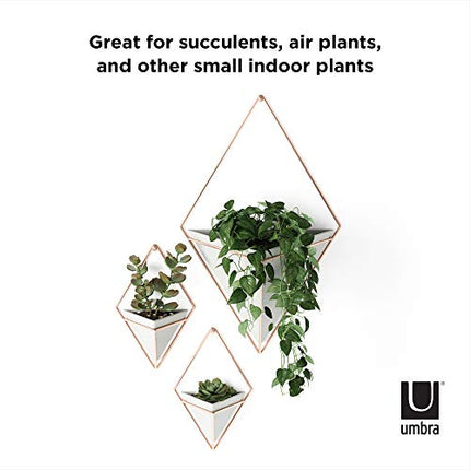 Umbra Trigg Hanging Planter Vase & Geometric Wall Decor Ceramic Container - Great For Succulent Plants, Air Plant, Mini Cactus, Faux Plants and More, Large, Concrete/Copper